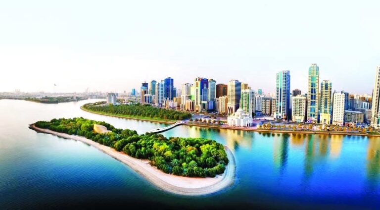 image - 2022-11-20T073755.721