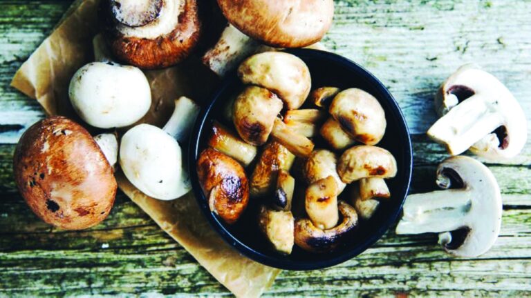 image - 2022-11-26T201142.074