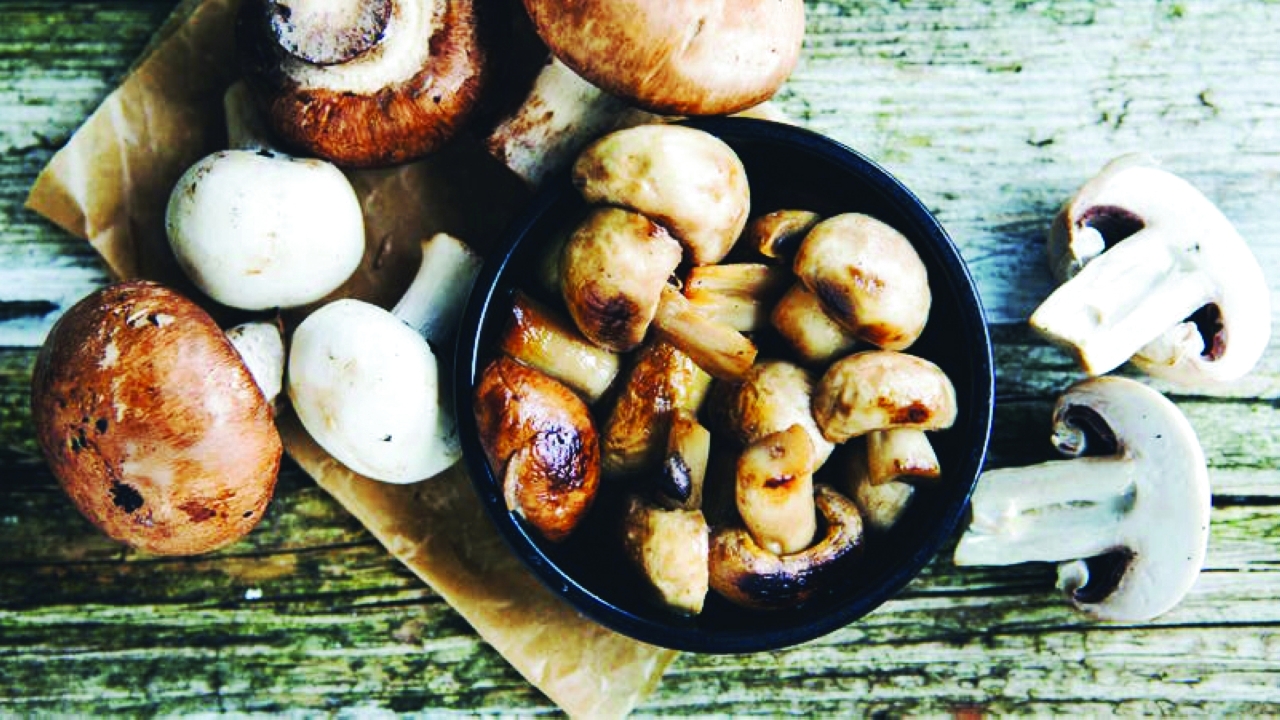 image - 2022-11-26T201142.074