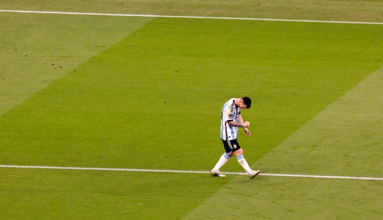 image - 2022-11-27T071448.979