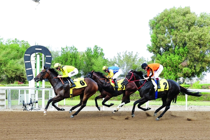 سباق ثاني للخيول  مضمار جبل علي ،نوفمبر،05  ،2022 .تصوير غلام كاركر
