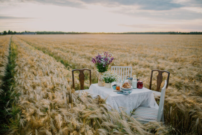 Dinner in the Field_Kerli Sosi