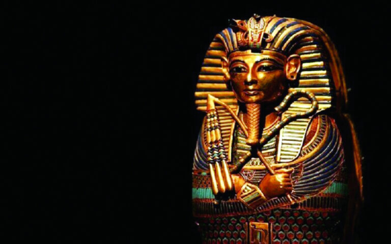 image - 2022-12-03T100803.484