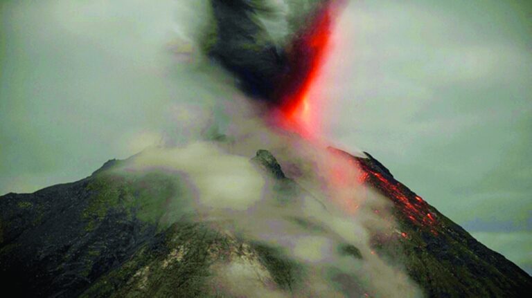 image - 2022-12-07T121614.043