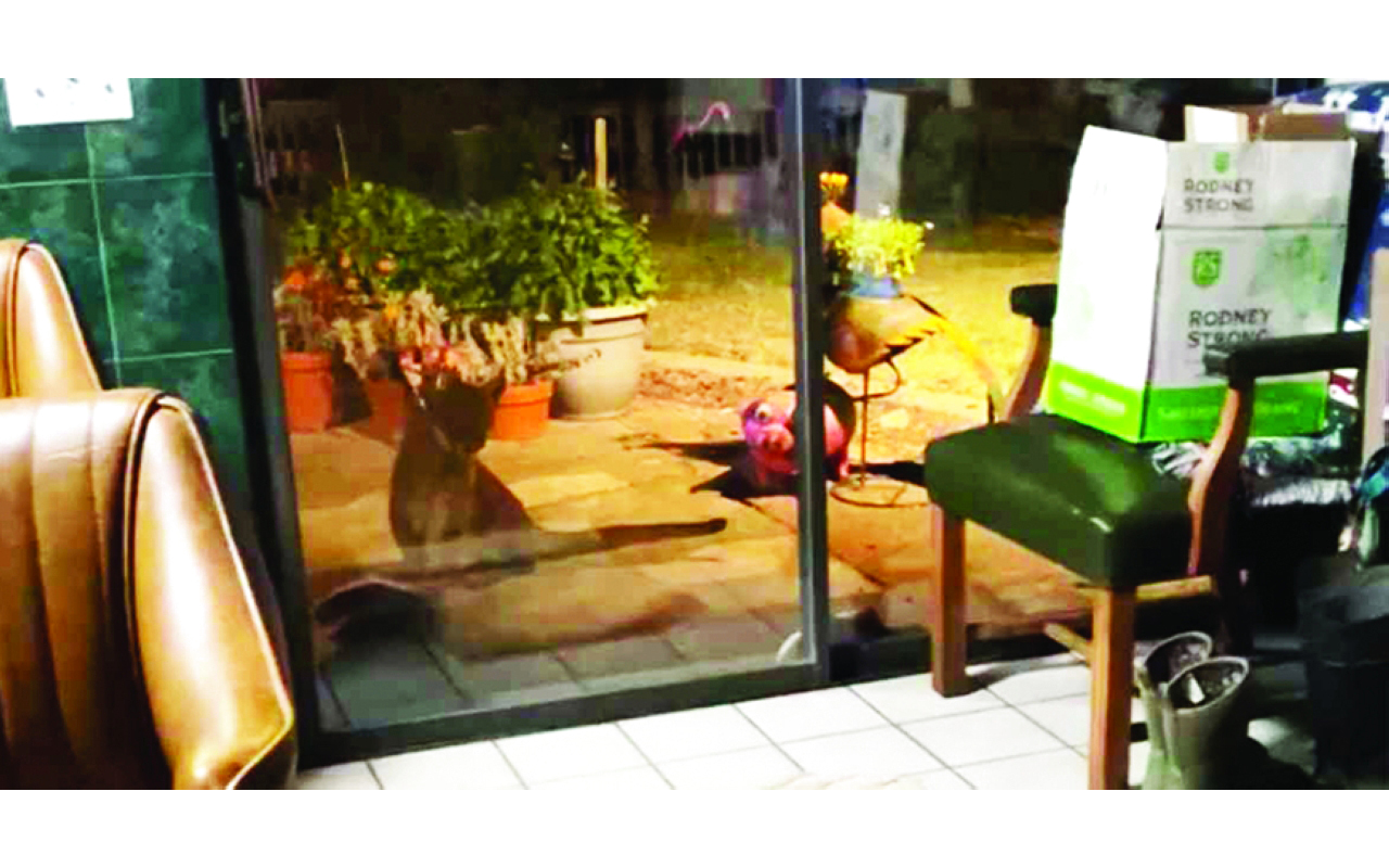 image - 2022-12-10T090207.722