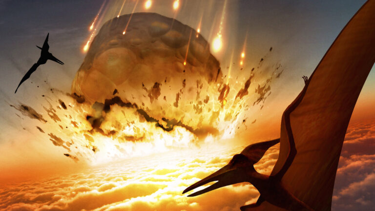 image - 2022-12-10T090620.719