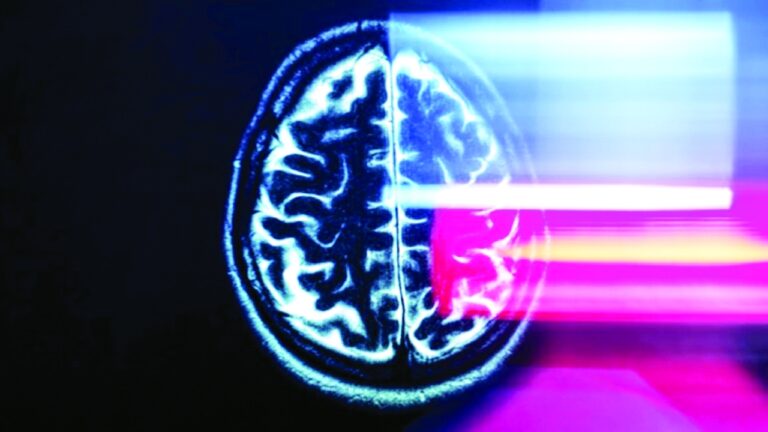 image - 2022-12-11T184611.179