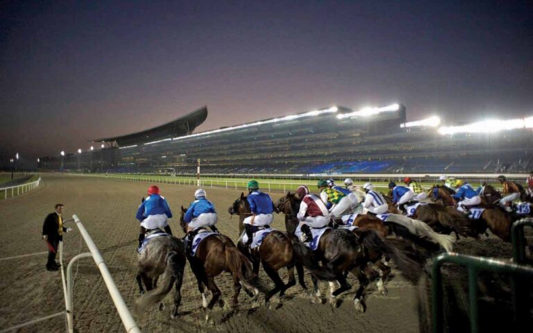 image - 2022-12-13T082407.907