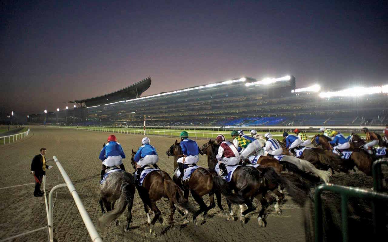 image - 2022-12-13T082407.907