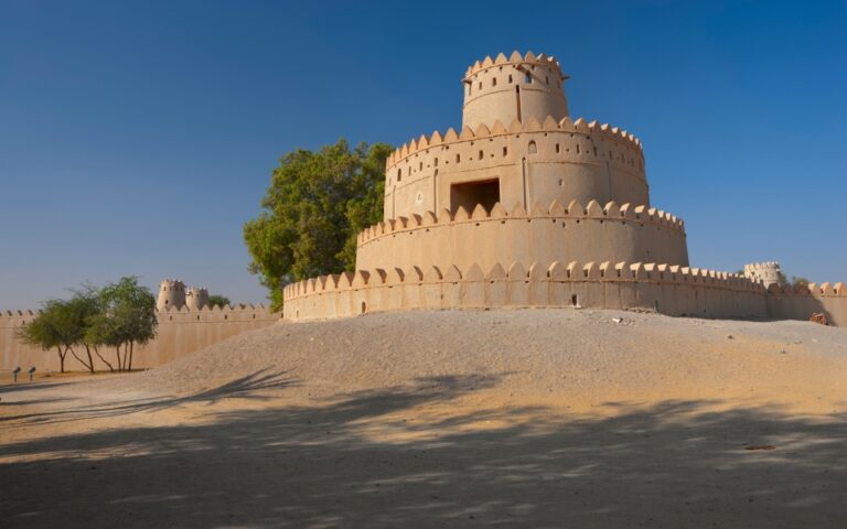 image - 2022-12-14T164232.160