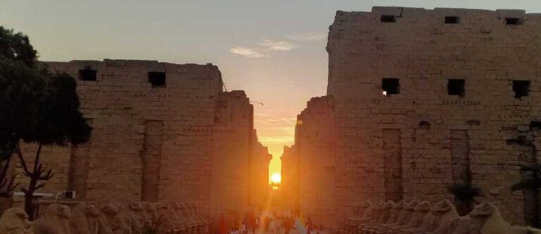 image - 2022-12-21T100140.583