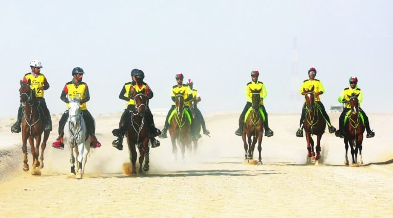 image - 2022-12-22T083105.930