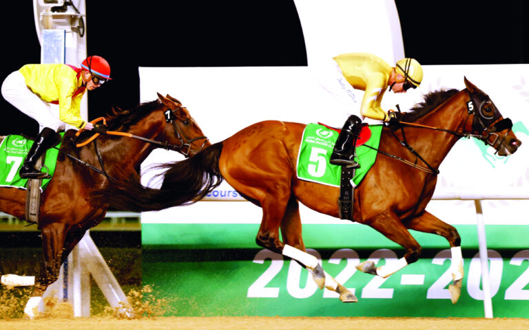 image - 2022-12-25T093325.791