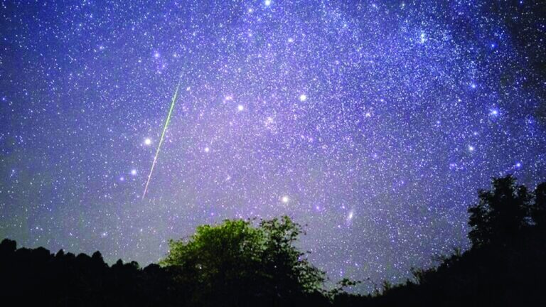 image - 2022-12-28T104035.330