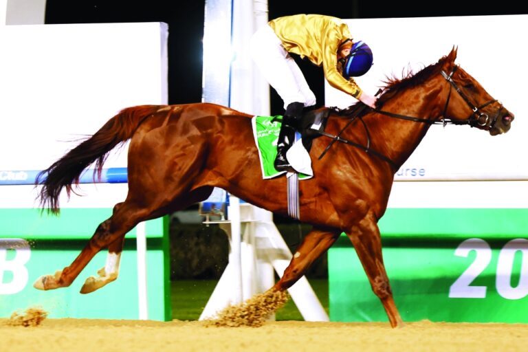 image - 2023-01-08T074849.166