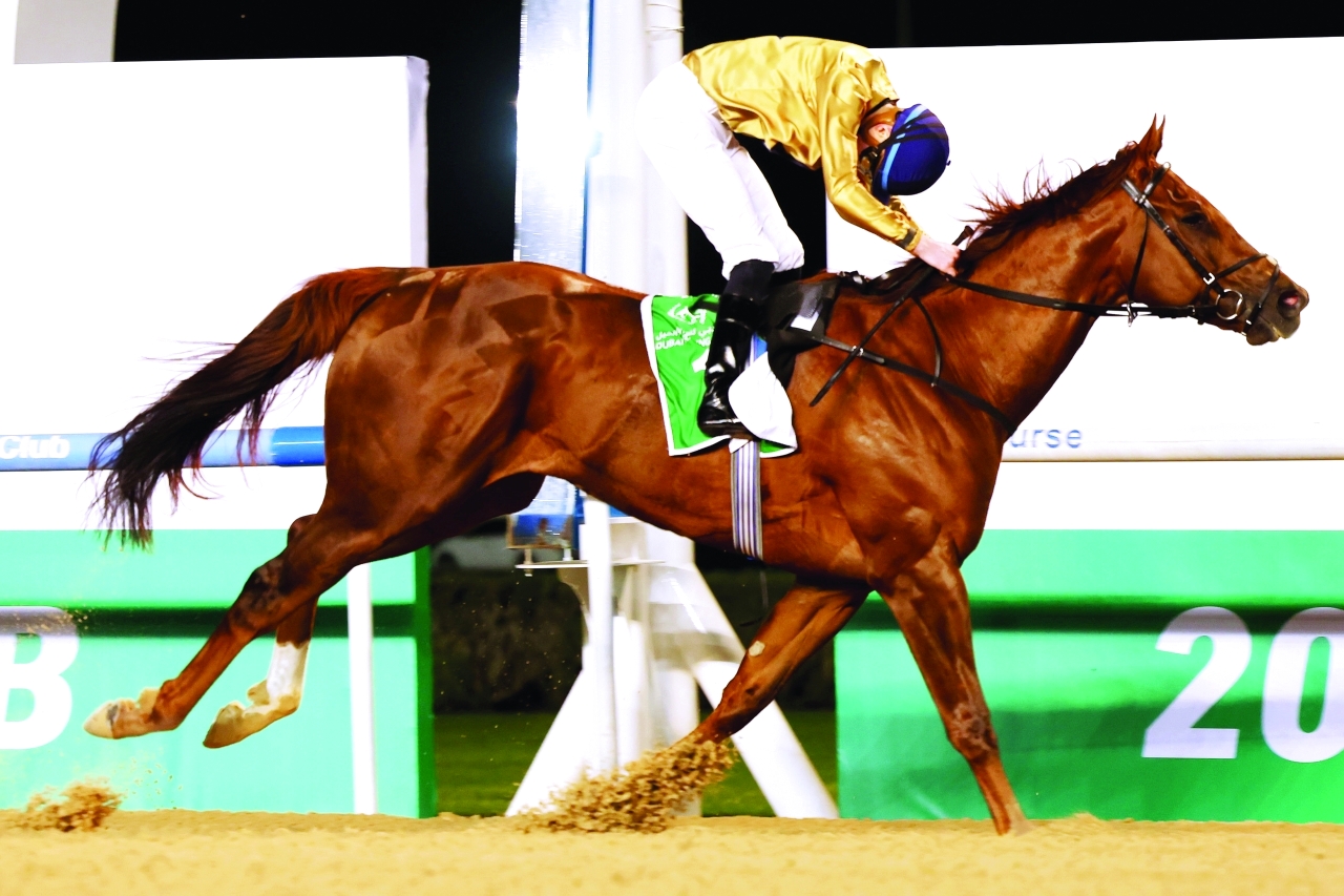 image - 2023-01-08T074849.166