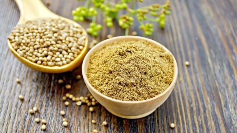 image - 2023-01-09T082428.364