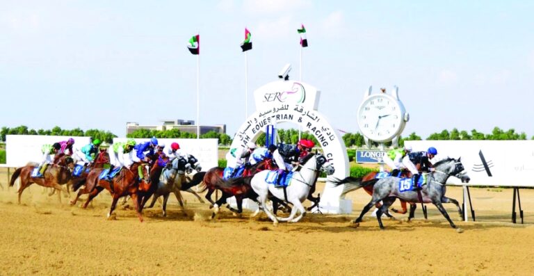 image - 2023-01-11T075224.287