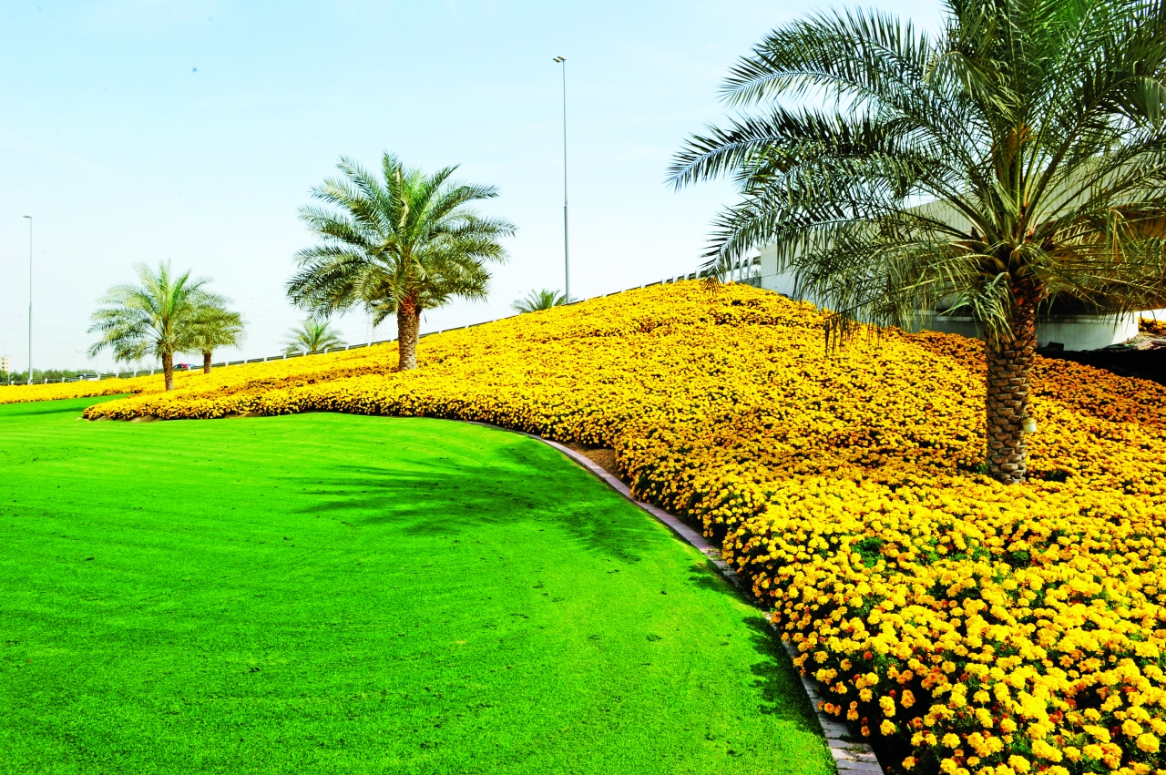 image - 2023-01-16T134148.060