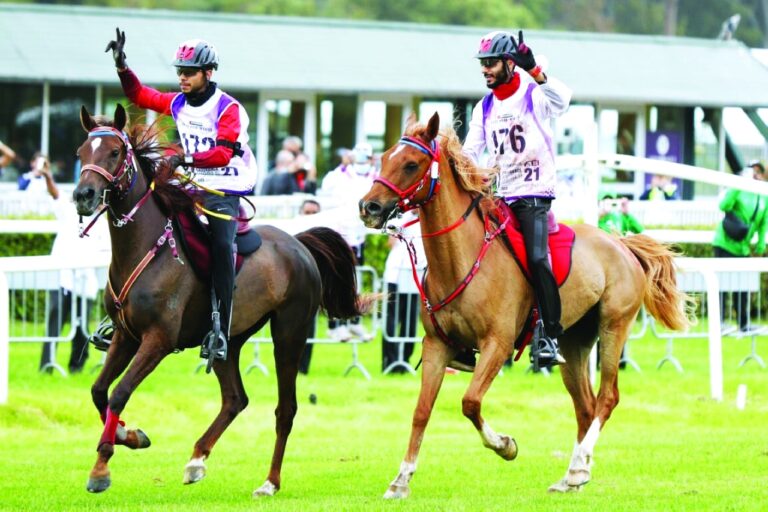 تضم 157 فارساً وفارسة من 38 دولة .. الاتحاد الدولي للفروسية يعلن القائمة الأولية للمشاركين في مونديال القدرة بقرية بوذيب.