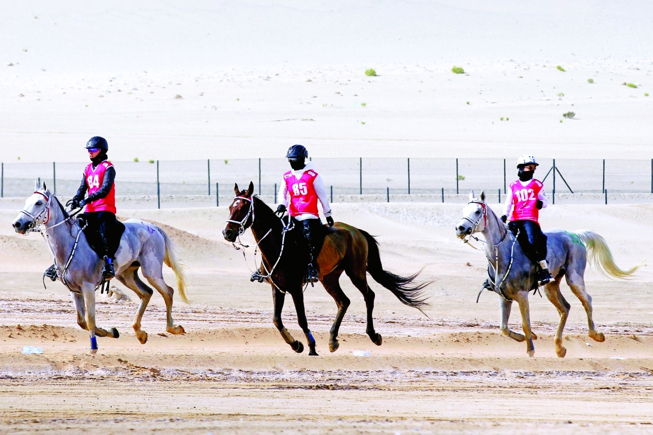 image - 2023-01-21T092229.364