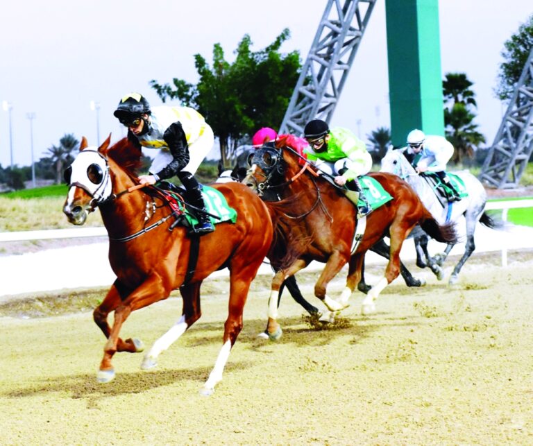 image - 2023-01-21T092322.916