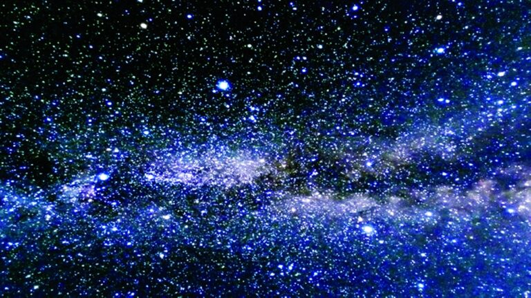 image - 2023-01-23T081646.676