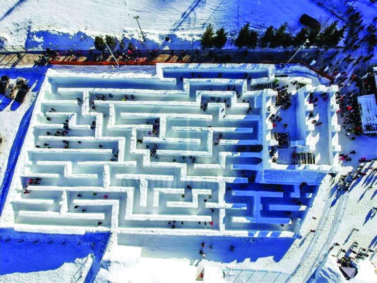 image - 2023-01-26T122536.357