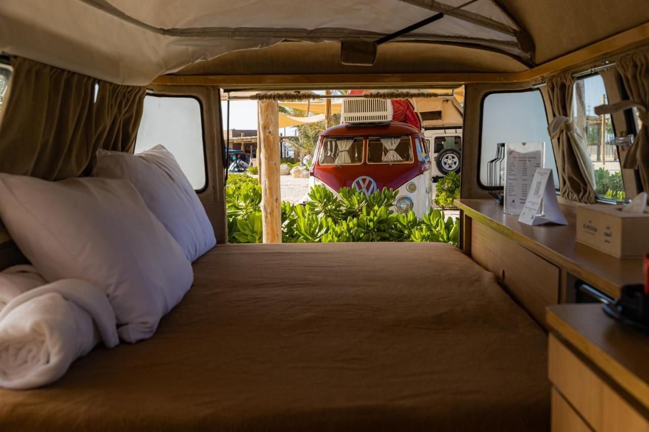 WhatsApp Image 2023-02-13 at 4.47.59 PM