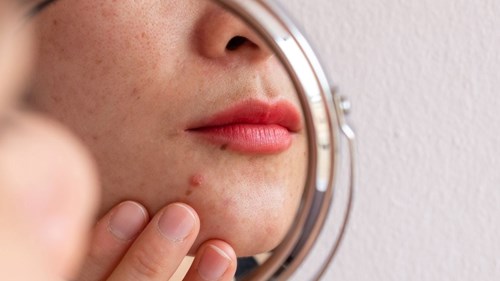 d23c821e-d6bc-437e-9645-f1460df56378