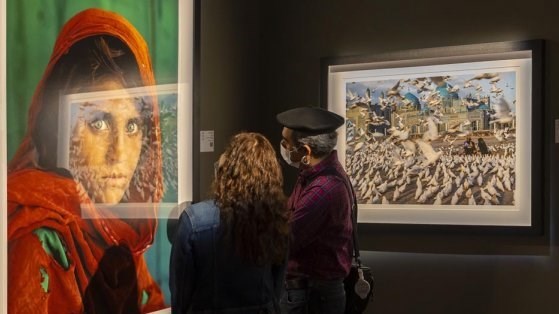 d9f7e06d-377a-4f72-9f8b-117e143b2d6b