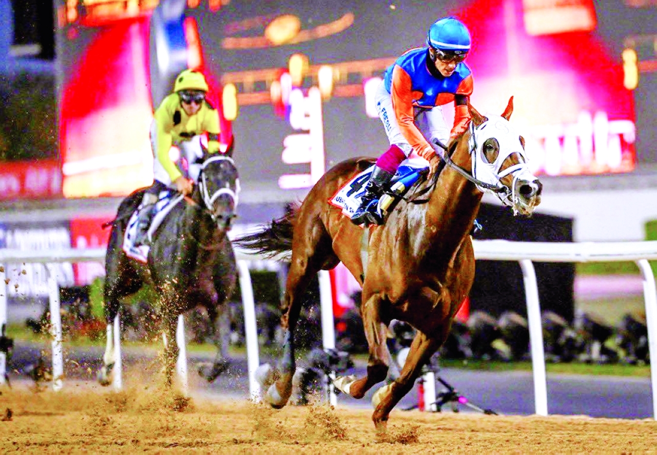 image - 2023-02-07T075442.411