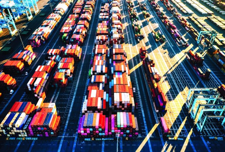 image - 2023-02-07T081939.085