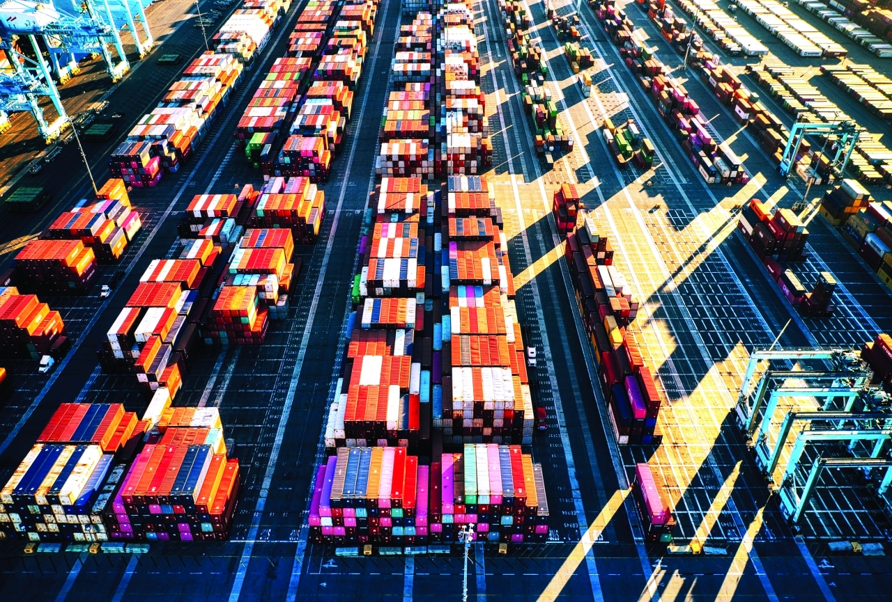 image - 2023-02-07T081939.085