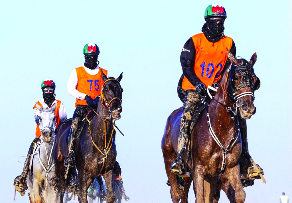 image - 2023-02-16T081440.866