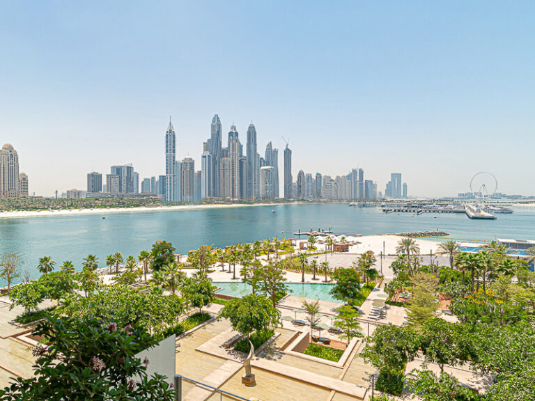 image - 2023-02-16T145548.390