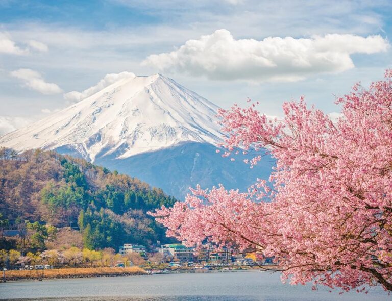 Mountain Fuji in spring ,Cherry blossom Sakura