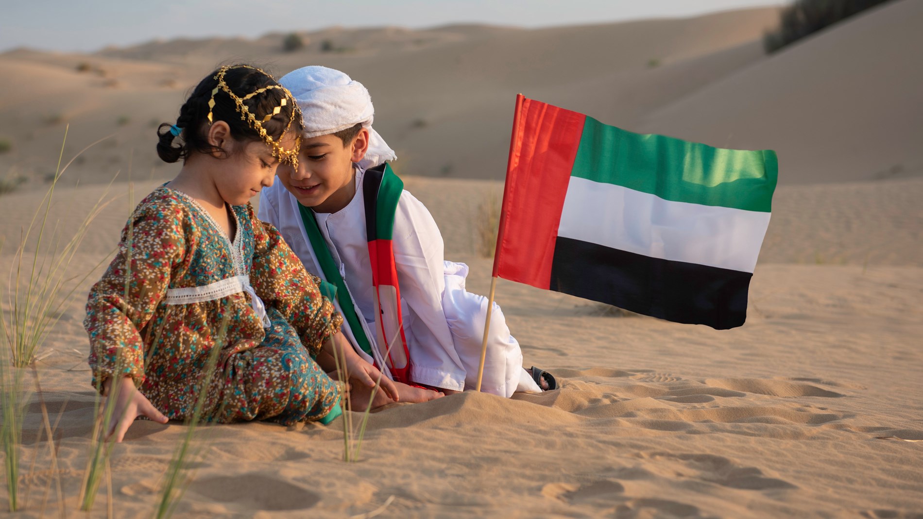 4cf8d84e-6a0b-42ff-bc67-b19a3db9451c