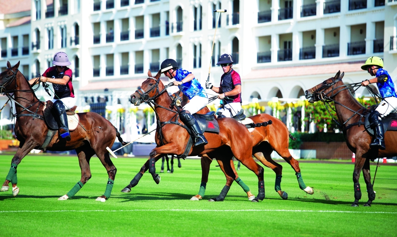 image - 2023-03-16T092013.678