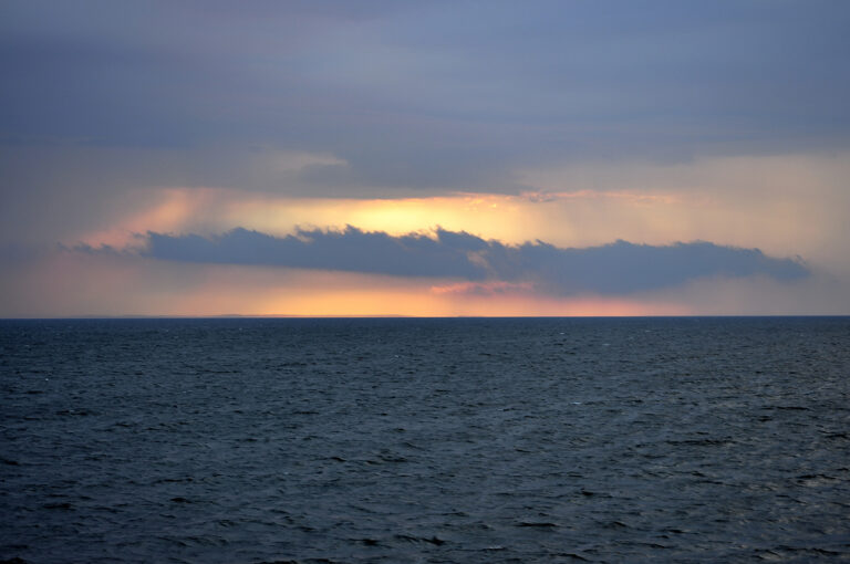 image - 2023-03-27T211155.652