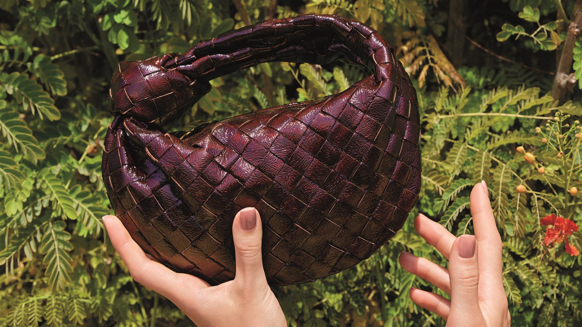 04a5ee7d-fe55-478c-9128-08d1fcd305ca