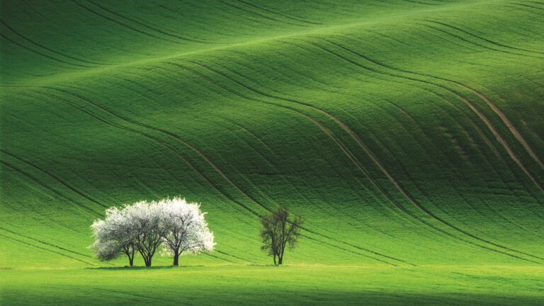 5e637e3f-01b4-47ff-b158-7aa78edaf9fa