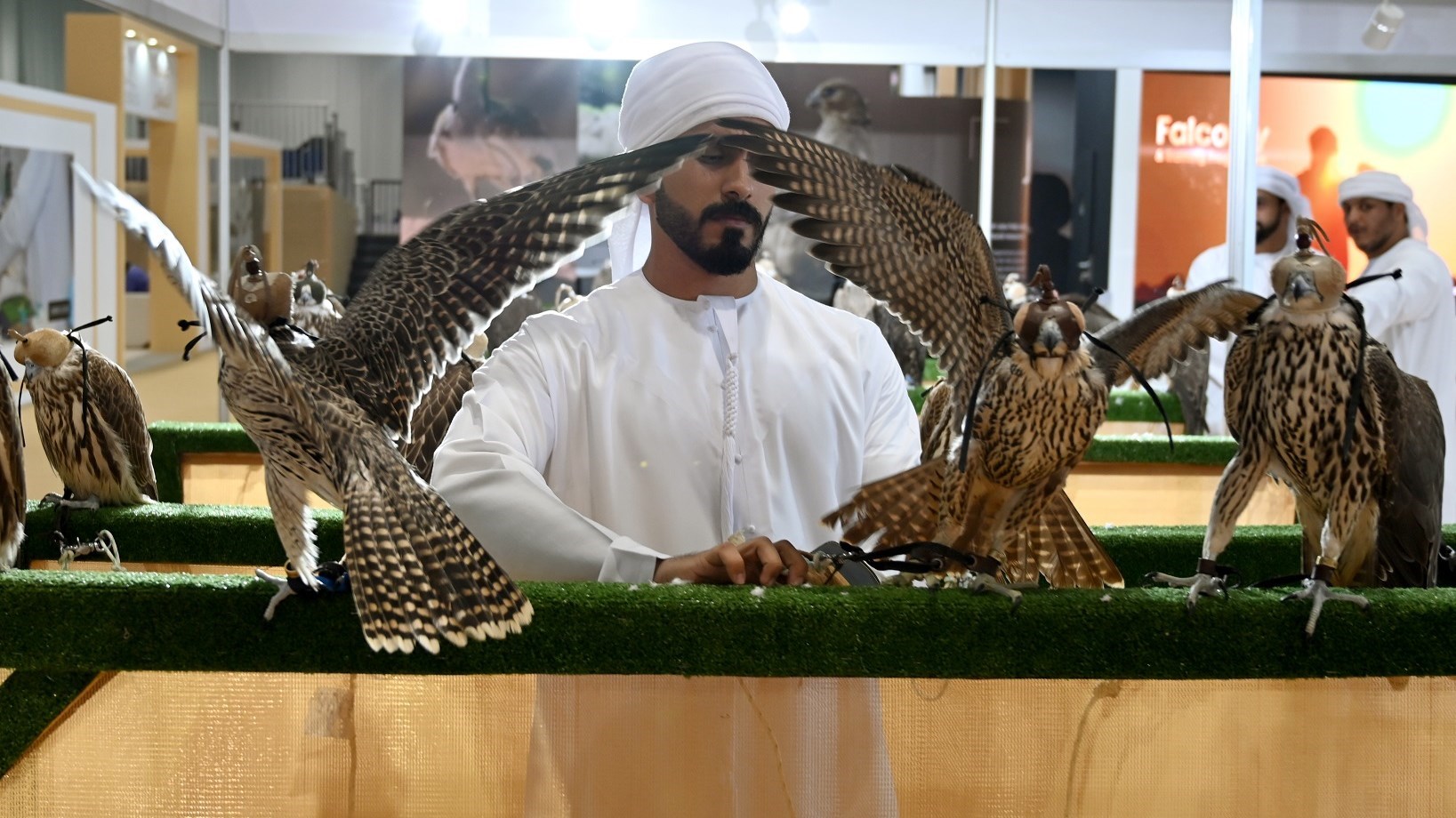 f9cc786b-8fd4-42c9-8581-86a6378c4864