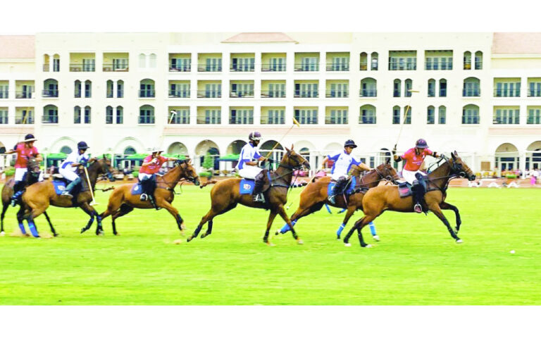 image - 2023-04-10T112645.440