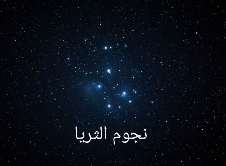 image - 2023-04-24T215350.174