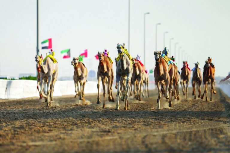 image - 2023-04-26T082825.339