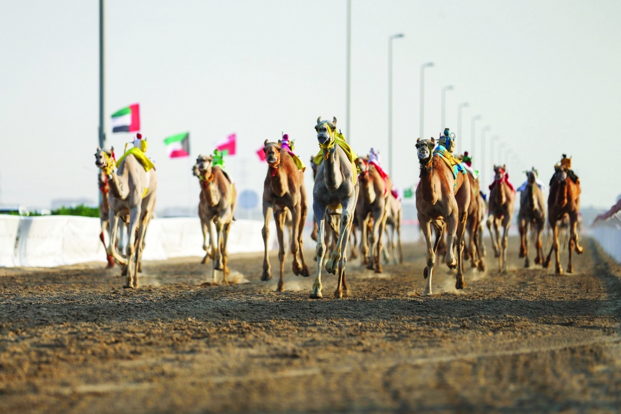 image - 2023-04-26T082825.339