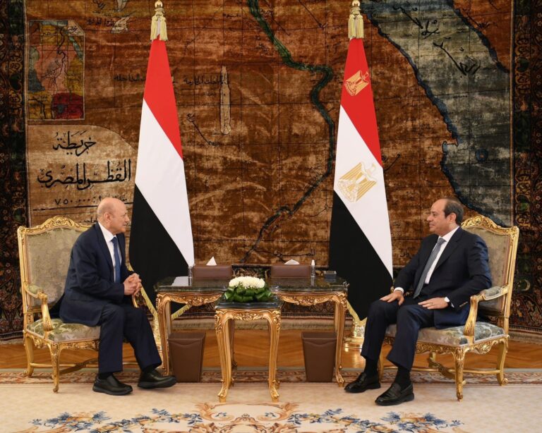 الرئيس المصري يلتقي رئيس مجلس القيادة الرئاسي اليمني.