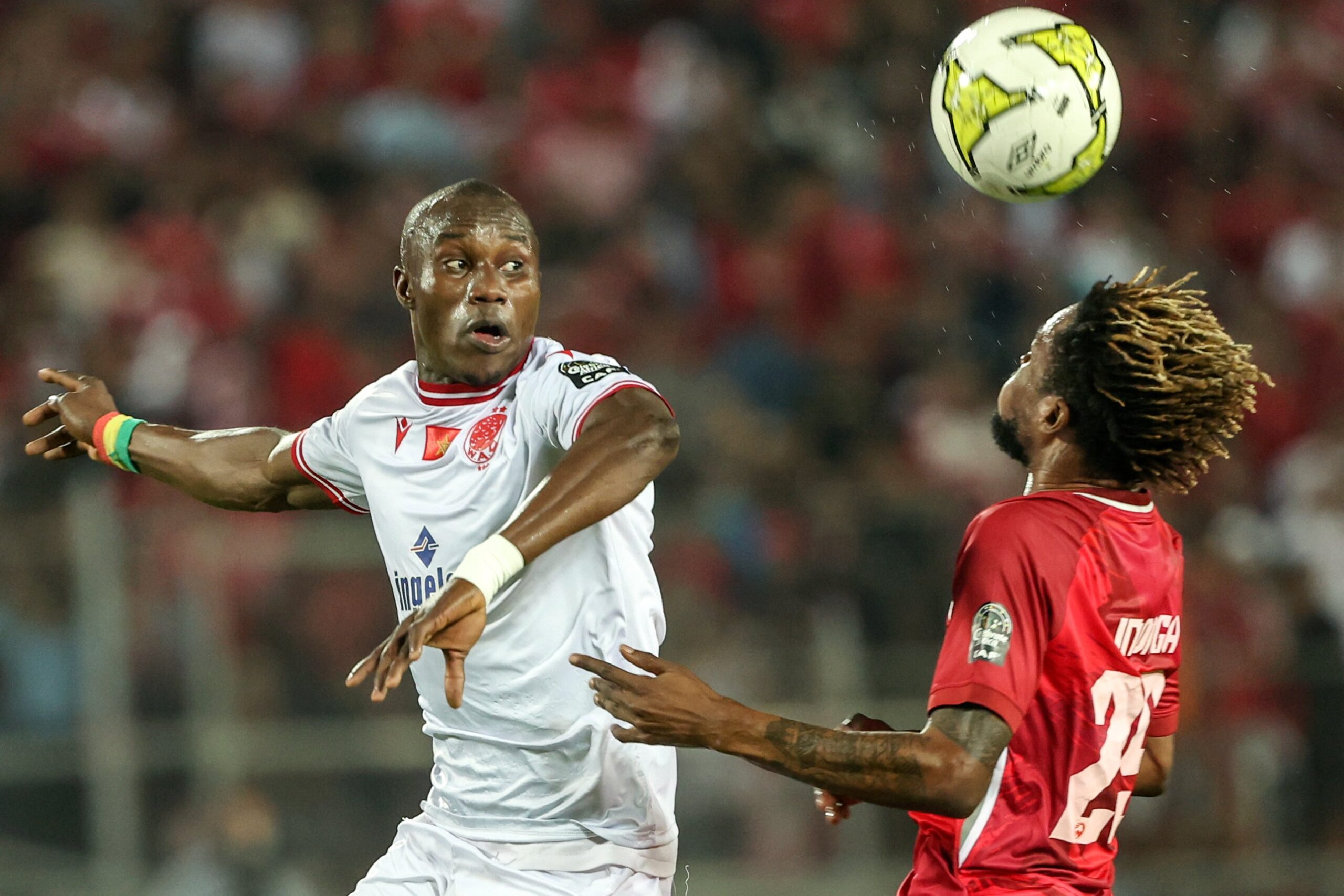 image - 2023-04-29T094825.147