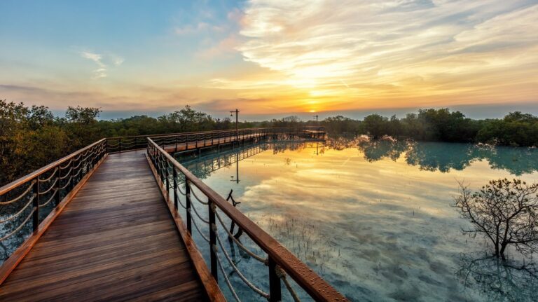 16d30faf-6896-4b5a-b35f-847abfe8ae2d